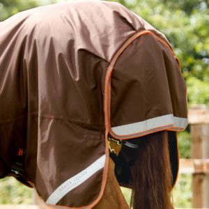 titan-300g-turnout-rug-with-snug-fit-neck-cover-200556brw-152903_2048x