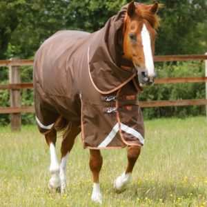 titan-300g-turnout-rug-with-snug-fit-neck-cover-200556brw-410084_2048x