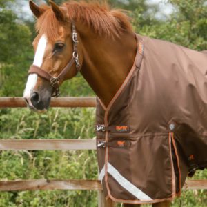 titan-300g-turnout-rug-with-snug-fit-neck-cover-200556brw-674557_2048x
