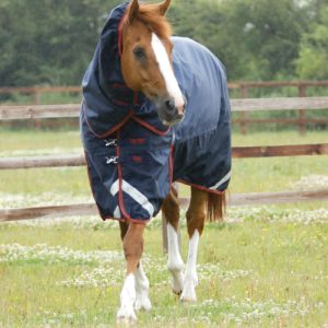 titan-450g-turnout-rug-with-snug-fit-neck-cover-200156n-406242_2048x