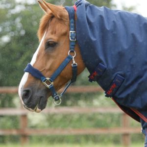 titan-450g-turnout-rug-with-snug-fit-neck-cover-200156n-636061_2048x