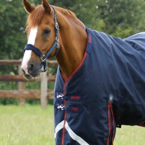 titan-450g-turnout-rug-with-snug-fit-neck-cover-200156n-818405_2048x