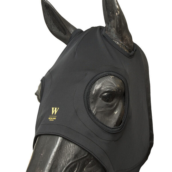 [ Wahlsten ] Healing Titanium Maske