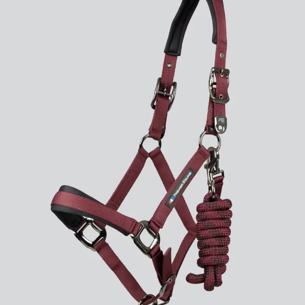 [ Premier Equine ] Gepolstertes Halfter mit Strick CORDA